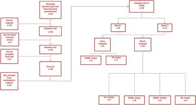 Targeted Metabolomics With Ultraperformance Liquid Chromatography–Mass Spectrometry (UPLC-MS) Highlights Metabolic Differences in Healthy and Atopic Staffordshire Bull Terriers Fed Two Different Diets, A Pilot Study